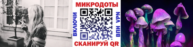 Псилоцибиновые грибы Psilocybe  Бабушкин 